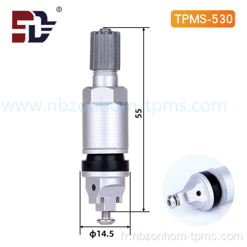 Valve de pneus TPMS TPMS530